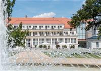 SPA Royal Palace - SPA Royal Palace - individuálny zájazd  - Slovensko, Turčianske Teplice - 3