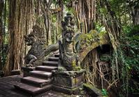 Perly Indonésie s koupáním na Bali - Monkey Forest Sanctuary Ubud - 4
