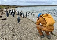 Patagónia, Ohňová zem a Falklandské ostrovy - Každý BUBO zájazd je spojením luxusu a zážitkov, ktoré by ste sami nenašli. Ľuboš fotí tučniaky na F - 2