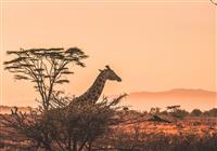 Klenot Afriky: Keňa vrátane 2-dňového safari v národnom parku Tsavo East - Pláž - 2