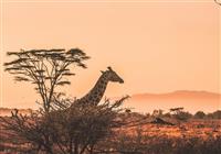 Poklad Afriky: Keňa vrátane 3-dňového safari v národnom parku Tsavo East a Tsavo West - Poklad Afriky: Keňa vrátane 3-dňového safari v národnom parku Tsavo East a Tsavo West - 2