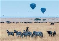 Poklad Afriky: Keňa vrátane 3-dňového safari v národnom parku Tsavo East a Tsavo West - 4