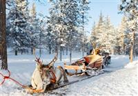 Laponsko - cesta za polárnou žiarou - 3