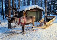 Laponsko - cesta za polárnou žiarou - 4