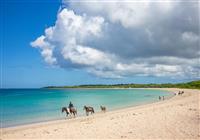 Fidži ponúka luxusný relax v Pacifiku v kvalitných hoteloch. Ak Vás zaujíma viac o nepoznanej Oceáni
