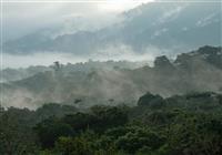 Najvyšší vrch Brazílie - /uploads/blog/1Amazonia-BUBO-Neblina.jpeg - 4