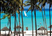 Dream of Zanzibar - pláž - 2