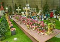 Výstava kvetov a záhrad v Tullne - v meste kvetov - 3