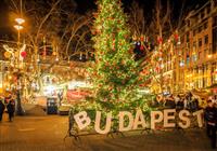 Vianočná Budapešť, historické pamiatky a návšteva adventných trhov - 4