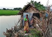 Bangladéš - absolútna exotika - V dedine prostitútok v delte Gangy - 4