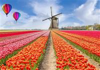 Amsterdam s návštevou tulipánových záhrad Keukenhof - 4