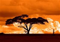 Keňa a Maurícius - Najkrajšie západy slnka sú nad africkou savanou - 3