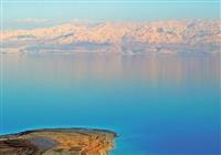 Oasis Dead Sea - 2