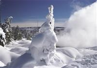 Zimné Safari v Utahu a Yellowstone - 4