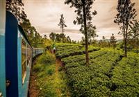 Srí Lanka: To najkrajšie z ostrova vrátane safari a jazdy vlakom - Pláž - 4
