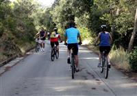 Plavba Pre cyklistov Na juh od Splitu - 4