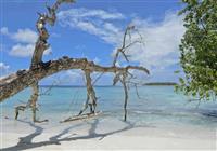 Bandos Maldives - Pláž - 4